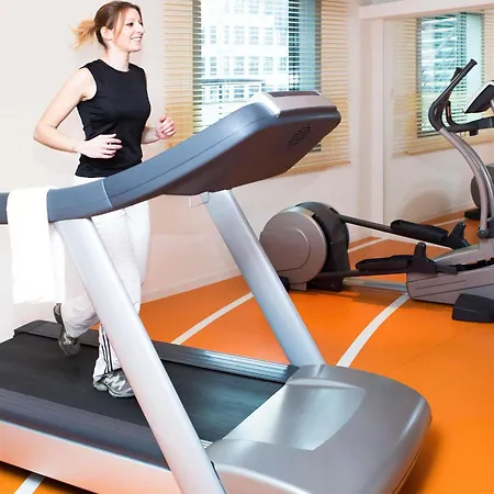 格勒诺布尔中央诺富特酒店 酒店 4*