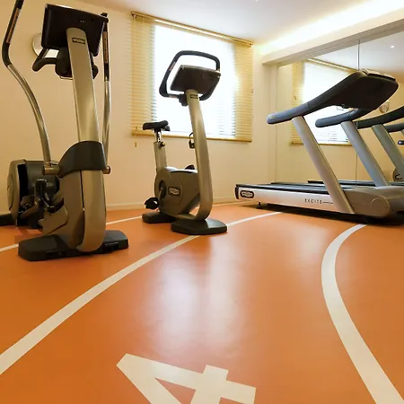 Novotel Centre Hotel Grenoble